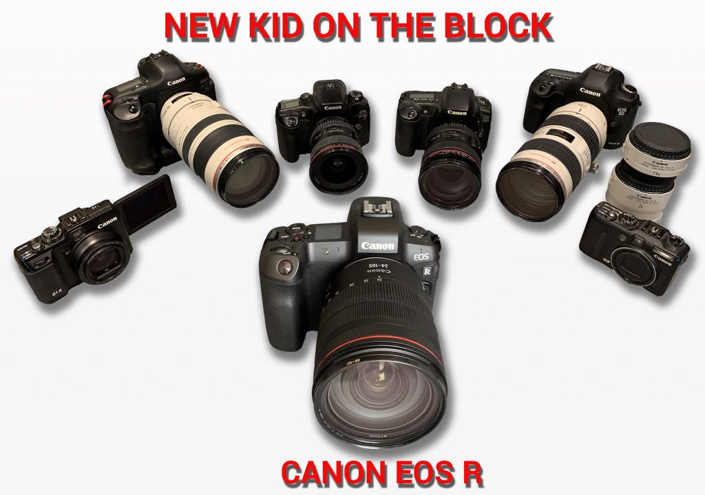 New Kid on the Block – Canon EOS R